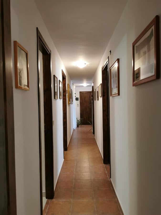 House Stephanotus *